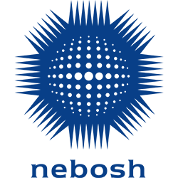 Silver Tree Services NEBOSH Certified