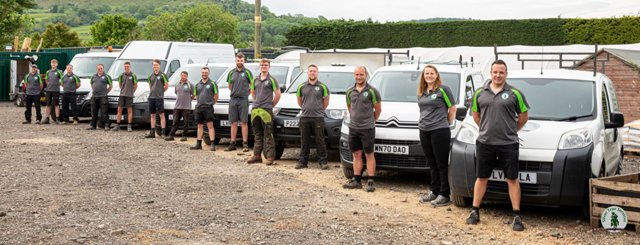 Silver Tree Services team