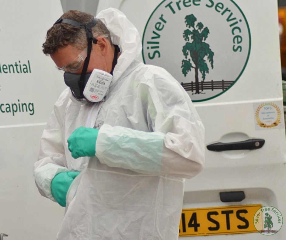 Silver Tree Services Applying PPE