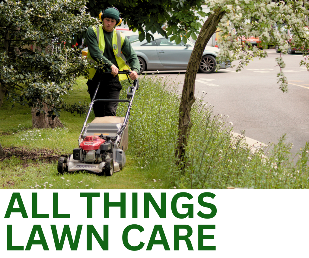 Silver Tree Services All Things Lawn Care Button