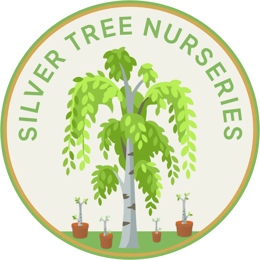 Silver Tree Nurseries Logo