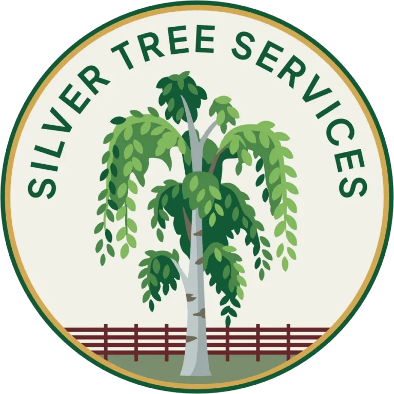 Silver Tree Services Logo