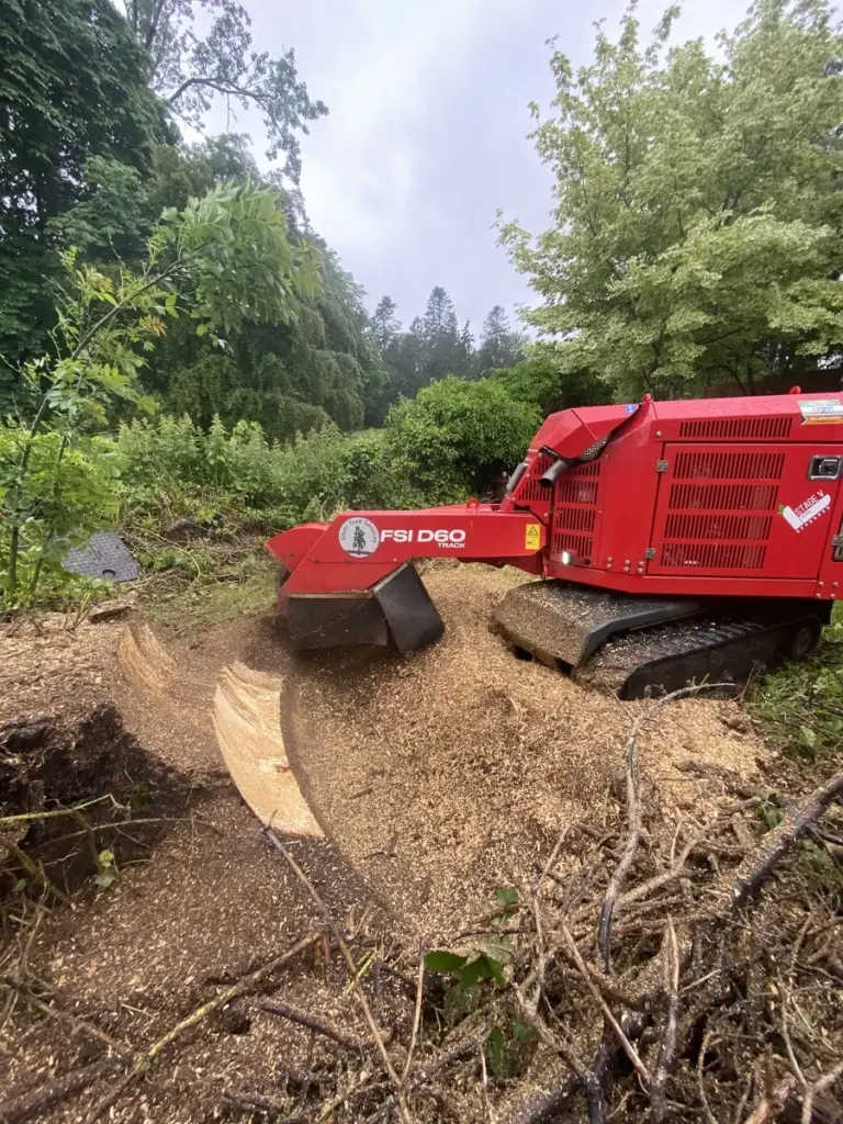 The woodchip remains of a tree stump and a stump grinding machine in red